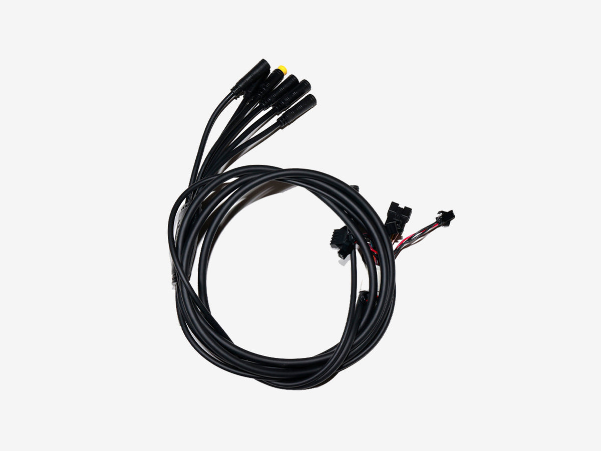 T10 Cavo integrato