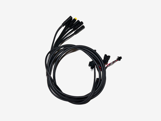 T10 Cavo integrato
